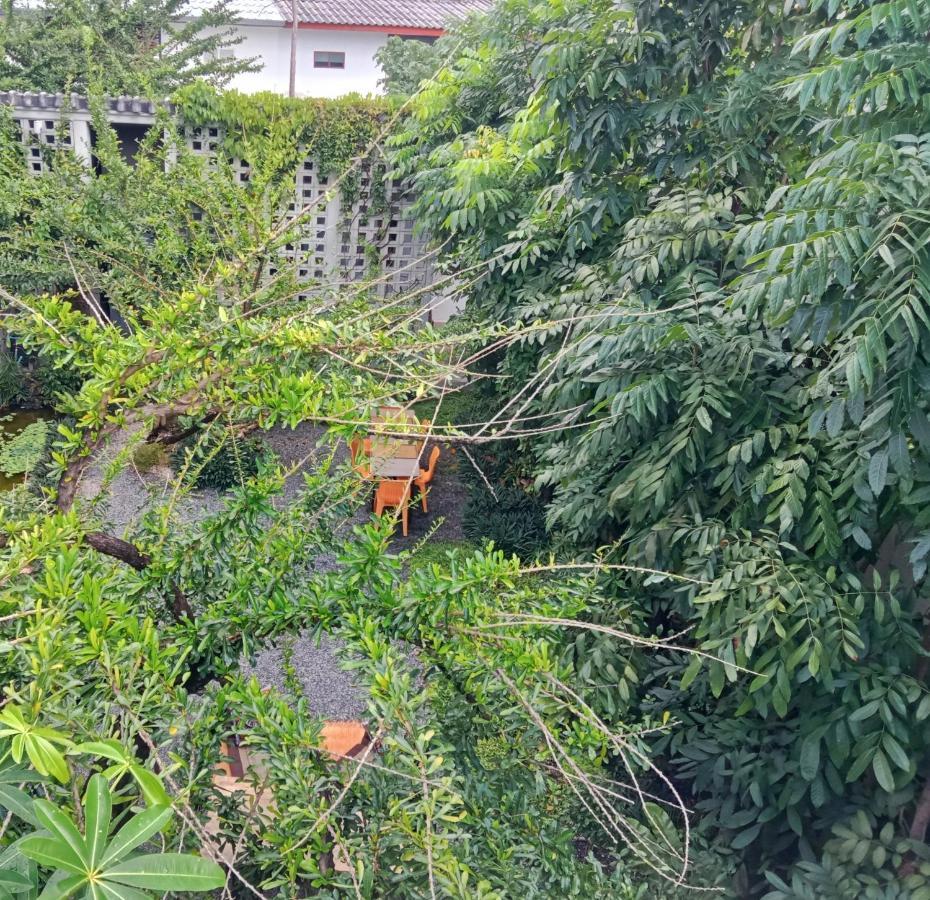 Baba Pim Villa チエンマイ エクステリア 写真